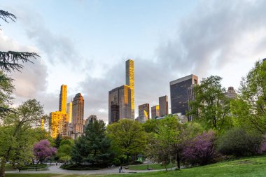 Manhattan gökdelenleri ve gün batımında Central Park çayırları
