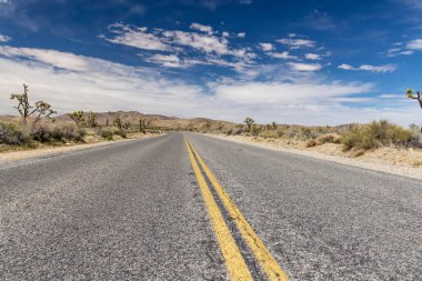 Hiç bitmeyen bir yolun perspektifi, güzel bir yere yolculuk ve macera.