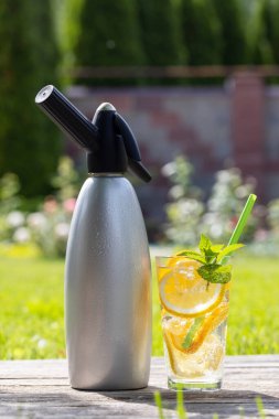 Açık hava bahçe masasında servis edilen ev yapımı limonata. Taze narenciye ve nane şekerli soğuk yaz içeceği.