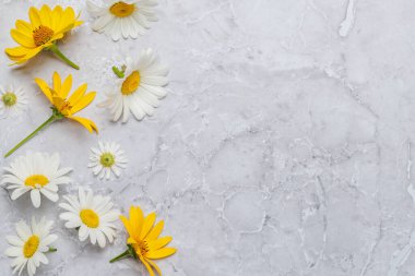 Mermer arka planda çeşitli çiçekler, metin için yeri olan canlı bir ekran. Düz yatıyordu