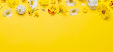 Sarı arkaplanda çeşitli çiçekler, metin için yeri olan canlı bir ekran. Düz yatıyordu