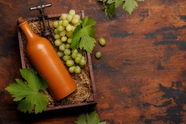 Kırsal ahşap bir kutuda sunulan kırmızı şarap şişesi ve taze üzüm. Kopyalama alanı olan düz