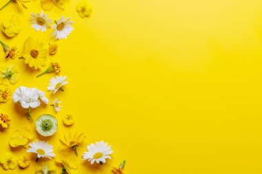 Sarı arkaplanda çeşitli çiçekler, metin için yeri olan canlı bir ekran. Düz yatıyordu