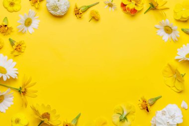 Sarı arkaplanda çeşitli çiçekler, metin için yeri olan canlı bir ekran. Düz yatıyordu