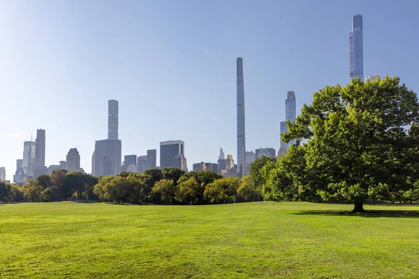 Manhattan Wolkenkrabbers Central Park Weide — Stockfoto