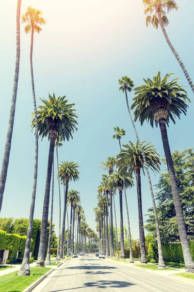 Beverly Hills Rijden Bekleed Met Hoge Majestueuze Palmbomen Los Angeles — Stockfoto
