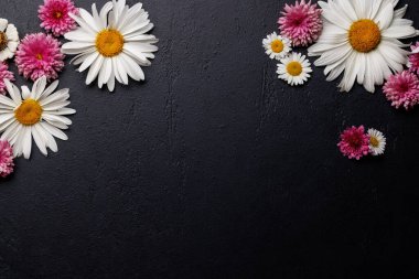 Çeşit çeşit çiçek başları taştan arka planda ve metin için yeri var. Düz yatıyordu