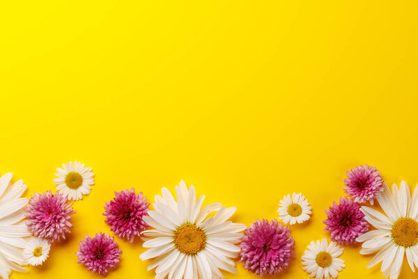 Assorted garden blossom flower heads on yellow background with space for text. Flat lay