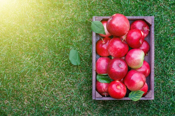 Caja Madera Con Manzanas Frescas Césped Verde Con Espacio Copia —  Fotos de Stock