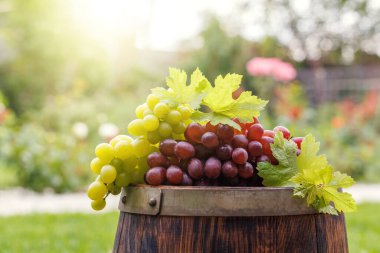 Dışarıdaki şarap fıçısına asma ve fotokopi alanı