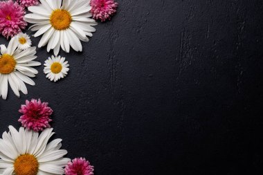 Çeşit çeşit çiçek başları taştan arka planda ve metin için yeri var. Düz yatıyordu