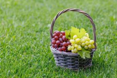 Fotokopi alanı olan bir sepetin içinde üzüm.