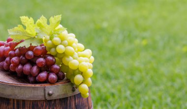 Dışarıdaki şarap fıçısına asma ve fotokopi alanı