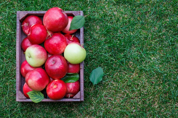 Caja Madera Con Manzanas Frescas Césped Verde Con Espacio Copia —  Fotos de Stock