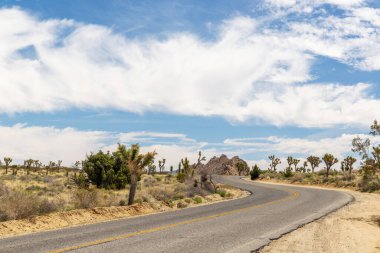 Joshua Tree Ulusal Parkı 'nın nefes kesici bir fotoğrafı Mojave Çölü' nün eşsiz manzarasını ve güzelliğini gözler önüne seriyor.