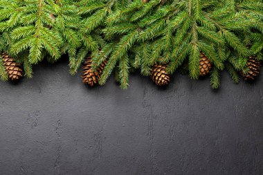 Noel ağacı dalının çerçevesi taşın üzerinde selamlaşma metni için yer var. Düz yatıyordu