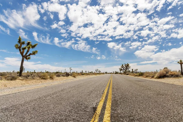 Die Perspektive Einer Endlosen Straße Die Reise Und Das Abenteuer — Stockfoto