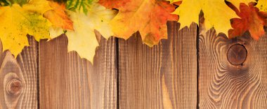 hojas de arce Otoño colorido sobre tabla de madera con copia spac