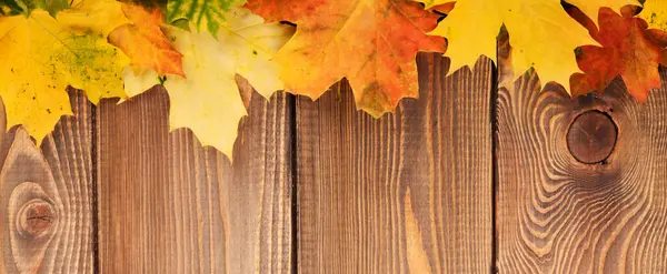 Цветные Осенние Кленовые Листья Деревянном Столе Копировальным Спаком — стоковое фото
