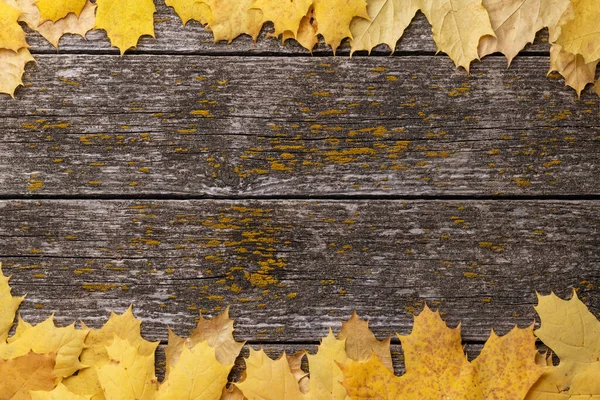 Jesienne Liście Klonu Drewnianym Stole Przestrzenią Kopiowania — Zdjęcie stockowe