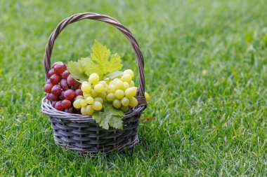 Fotokopi alanı olan bir sepetin içinde üzüm.