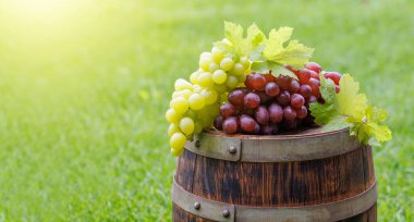 Dışarıdaki şarap fıçısına asma ve fotokopi alanı