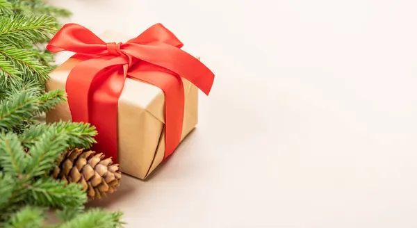 Tannenzweig Weihnachtsgeschenkbox Und Platz Für Grußworte — Stockfoto
