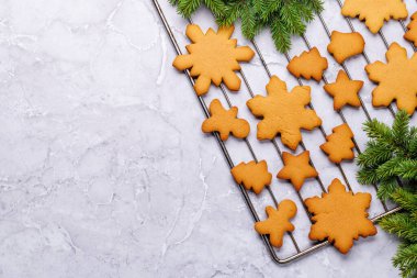 Zencefilli kurabiye ve köknar ağacı dalı. Kopya alanı olan Noel kartı