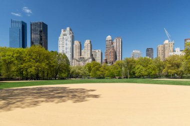 Manhattan gökdelenleri ve Central Park çayırları