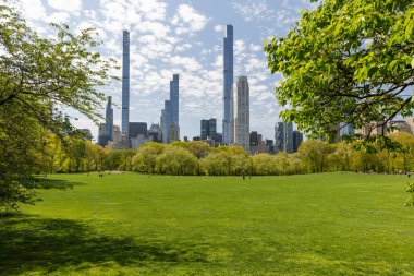 Manhattan gökdelenleri ve Central Park çayırları