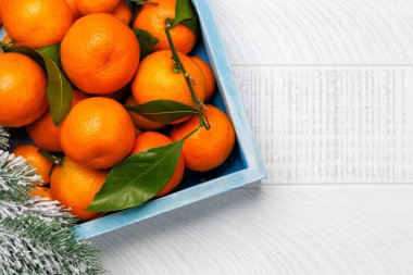 Kutlama turunçgilleri: Tatil temalı bir kutuda mandalinalar, fotokopi alanı olan düz yataklar