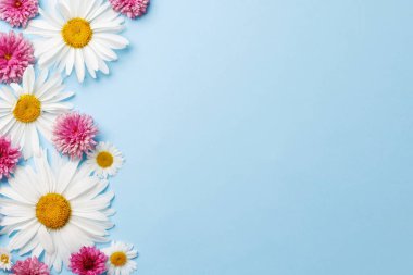 Mavi arka planda çiçek başları ve metin için yer var. Düz yatıyordu