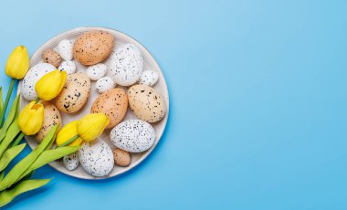 Paskalya lezzetleri, rengarenk bir düzende renkli yumurtalar. Kopyalama alanı olan düz