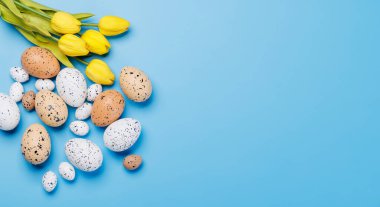 Paskalya lezzetleri, rengarenk bir düzende renkli yumurtalar. Kopyalama alanı olan düz