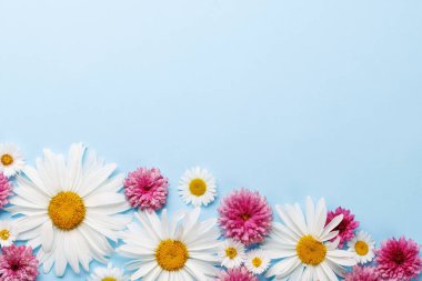 Mavi arka planda çiçek başları ve metin için yer var. Düz yatıyordu