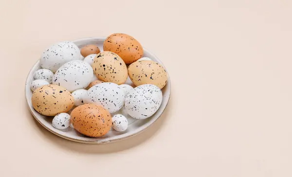 Osterfreuden Bunte Eier Festlichem Arrangement Mit Kopierraum — Stockfoto
