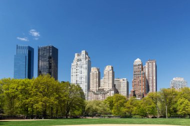 Manhattan gökdelenleri ve Central Park çayırları
