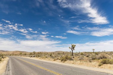 Joshua Tree Ulusal Parkı 'nın nefes kesici bir fotoğrafı Mojave Çölü' nün eşsiz manzarasını ve güzelliğini gözler önüne seriyor.