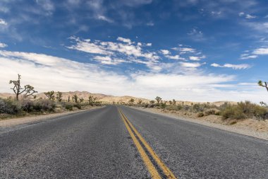 Joshua Tree Ulusal Parkı 'nın nefes kesici bir fotoğrafı Mojave Çölü' nün eşsiz manzarasını ve güzelliğini gözler önüne seriyor.