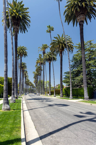 Beverly Hills drive lined with tall and majestic palm trees, Los Angeles, California