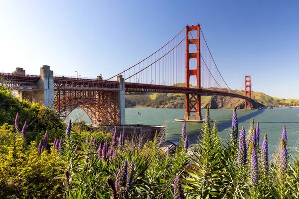 Міст Сан Франциско Каліфорнія Ґолден Ґейт Ліцензійні Стокові Фото
