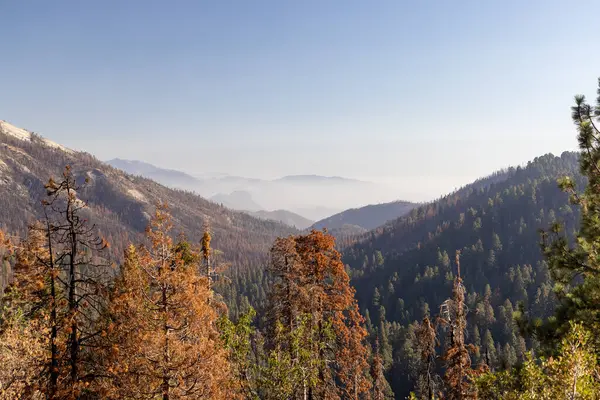 Гірський Краєвид Національний Парк Йосеміті Каліфорнія Сша Стокове Зображення