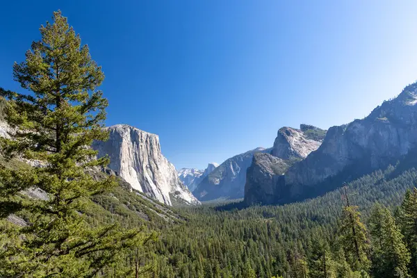 Гора Ель Капітана Йосемітському Національному Парку Каліфорнія Сша Ліцензійні Стокові Зображення