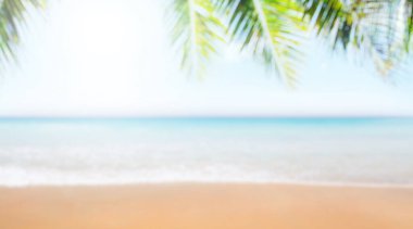 Bulanık güneşli deniz manzarası güneş, deniz, palmiye yaprakları ve kopyalama alanı