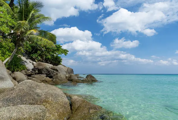 Sunny Vacation Landscape Tropical Sea Palms Stones Stock Image