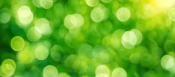Sonniges Grünes Laub Bokeh Hintergrund Ideale Sommerkulisse Stockbild