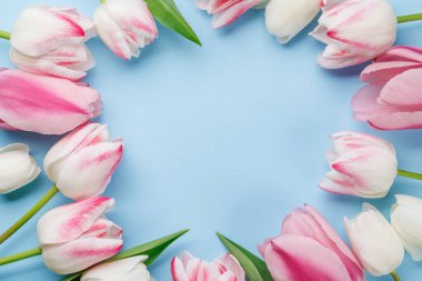 Pastel renkli laleler sofrayı süsler, huzurlu ve canlı bir zemin sağlar, bahar kutlamaları ya da basit sevinçler için mükemmeldir.