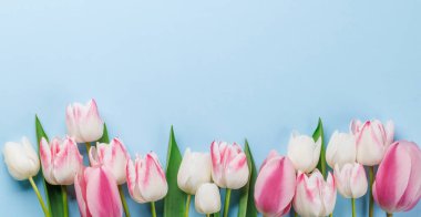 Pastel renkli laleler sofrayı süsler, huzurlu ve canlı bir zemin sağlar, bahar kutlamaları ya da basit sevinçler için mükemmeldir.