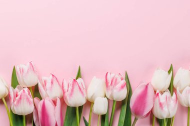 Pastel renkli laleler sofrayı süsler, huzurlu ve canlı bir zemin sağlar, bahar kutlamaları ya da basit sevinçler için mükemmeldir.