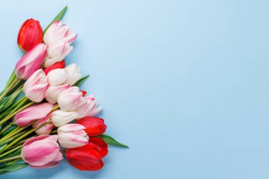 Pastel renkli laleler sofrayı süsler, huzurlu ve canlı bir zemin sağlar, bahar kutlamaları ya da basit sevinçler için mükemmeldir.